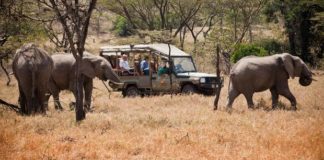 Kenyan conservation reserves